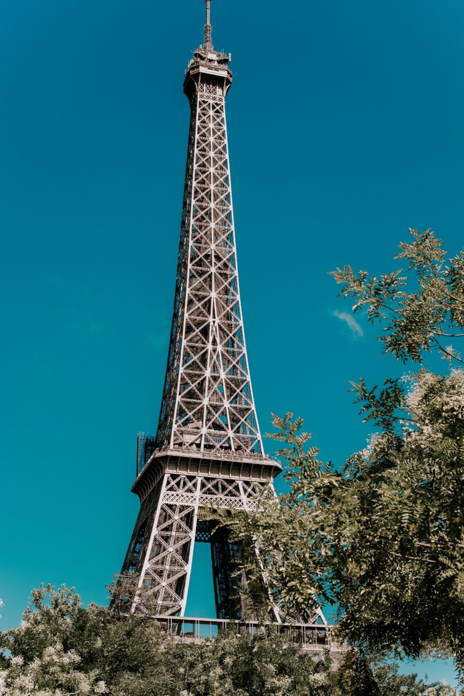 Eiffeltoren met heldere lucht en groene bladeren op de voorgrond.